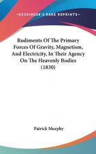 Rudiments Of The Primary Forces Of Gravity, Magnetism, And Electricity, In Their Agency On The Heavenly Bodies (1830)