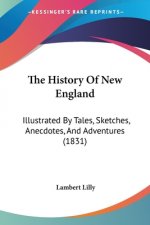 The History Of New England: Illustrated By Tales, Sketches, Anecdotes, And Adventures (1831)