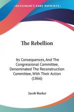 The Rebellion: Its Consequences, And The Congressional Committee, Denominated The Reconstruction Committee, With Their Action (1866)