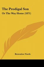 The Prodigal Son: Or The Way Home (1871)