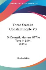 Three Years In Constantinople V3: Or Domestic Manners Of The Turks In 1844 (1845)