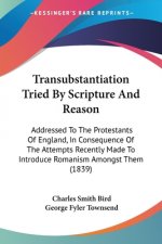 Transubstantiation Tried By Scripture And Reason: Addressed To The Protestants Of England, In Consequence Of The Attempts Recently Made To Introduce R