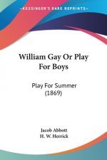 William Gay Or Play For Boys: Play For Summer (1869)