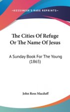 The Cities Of Refuge Or The Name Of Jesus: A Sunday Book For The Young (1865)