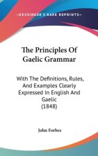 The Principles Of Gaelic Grammar: With The Definitions, Rules, And Examples Clearly Expressed In English And Gaelic (1848)