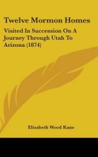 Twelve Mormon Homes: Visited In Succession On A Journey Through Utah To Arizona (1874)