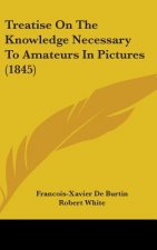 Treatise On The Knowledge Necessary To Amateurs In Pictures (1845)