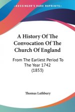 History Of The Convocation Of The Church Of England