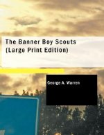 Banner Boy Scouts