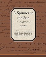 Spinner in the Sun
