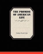 Promise Of American Life