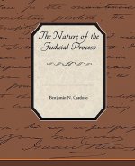 Nature of the Judicial Process