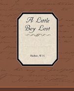 Little Boy Lost