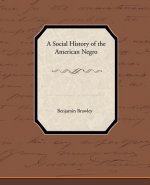 Social History of the American Negro