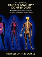 Essential Human Anatomy Compendium