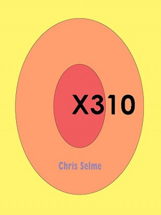 X310