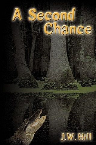 Second Chance