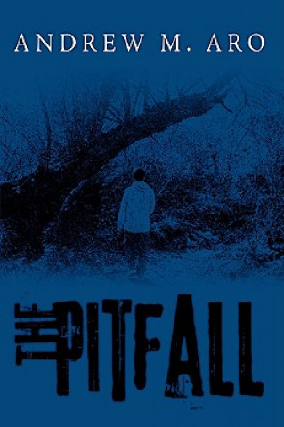 Pitfall