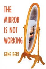Mirror is Not Working