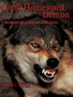 Look Homeward, Demon