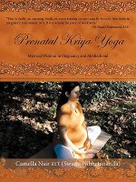 Prenatal Kriya Yoga