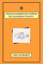 Extraordinary Pupfish of Calaveras County