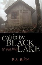Cabin by Black Lake