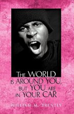 World is Around You, but You are in Your Car