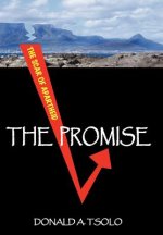 Promise