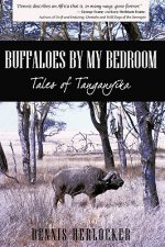 Buffaloes by My Bedroom