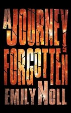 Journey Forgotten