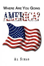 Where Are You Going America?