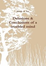 Delusions & Conclusions of a troubled mind