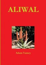 Aliwal