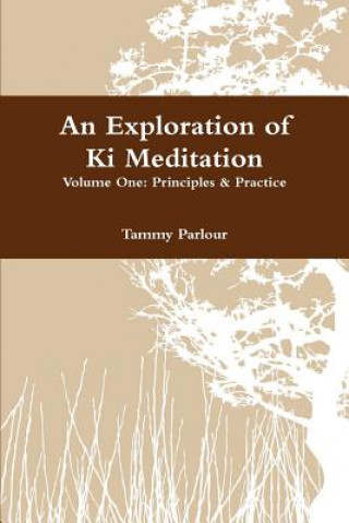 Exploration of Ki Meditation