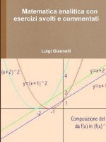 Matematica analitica con esercizi svolti e commentati