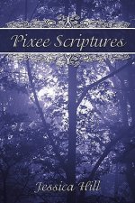 Pixee Scriptures