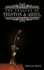 Tragedy Of Triston and Ariel