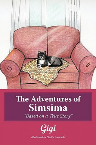 Adventures of Simsima