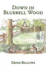 Down in Bluebell Wood