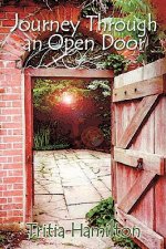 Journey Through an Open Door