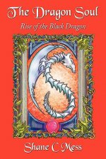Dragon Soul