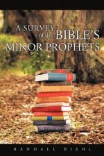 Survey of the Bible's Minor Prophets