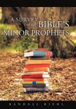 Survey of the Bible's Minor Prophets