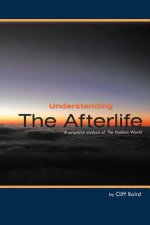 Understanding the Afterlife