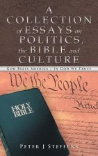 Collection of Essays on Politics, the Bible and Culture