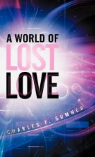 World of Lost Love