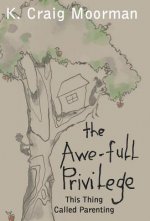 Awe-full Privilege