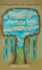 Journey of Divine Connections