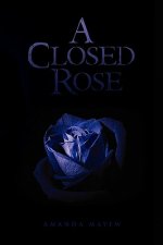 Closed Rose
